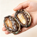 Frozen Whole Abalone